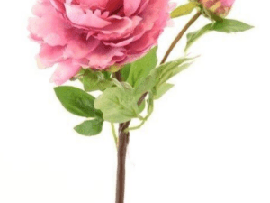 Pfingstrose pink, 54 cm