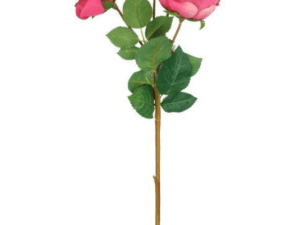 Rose dunkles pink 4 Bl. 50cm