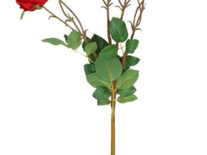 Rose, 12 Blüten rot